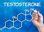 Тестостеронът - основният анаболен хормон